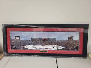 lot 48S image: Framed 2014 Winter Classic Panoramic Photo The Big House