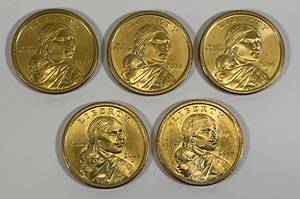 lot 11 image: 2000 D Sacagawea Native American Dollars