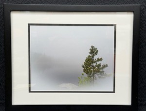 lot 90 image: Framed Landscape Photograph with Fog and Pine Tree