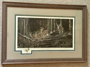 lot 23C image: B3 - Framed Limited Edition Print Out of the Shadows by Terry Moeck