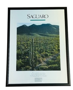 lot 39C image: BR3 - Framed Saguaro Cactus Desert Poster by Parks Project Association