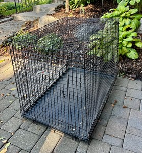 lot 162C image: G - Collapsible Large Metal Pet Crate 24x27x36 Inch