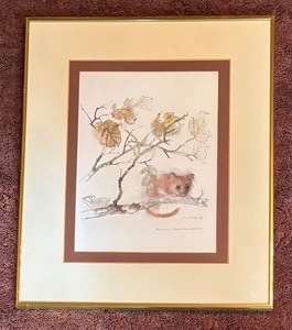 lot 75R image: U - Mads Gerhard Framed Print of Hazel Dormouse