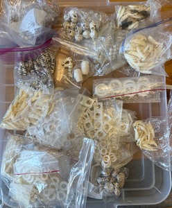 lot 72 image: LARGE LOT of White Beads Including Skulls and MANY Coyote Teeth - Lot #8