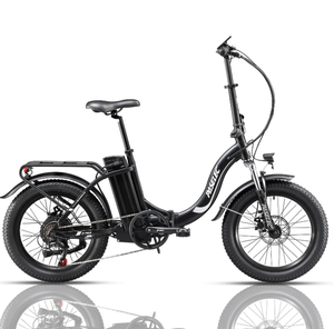 Paselec Ebike PX3 Electric Bike