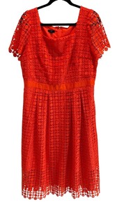 lot 208R image: C - New Talbots Petite Size 14P Orange Lace Dress