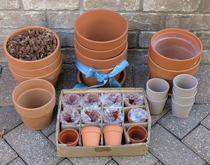 lot 57 image: G - Collection of Terracotta Pots Assorted Sizes