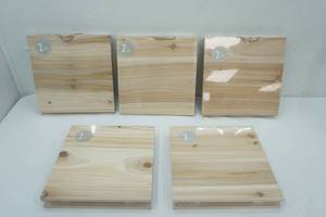 lot 16 image: NEW (10ct) 10x10 Wooden Wall Hangings