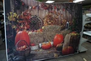 lot 133 image: Studio Photography Backdrop (Fall Theme) 8ft wide by 6 tall