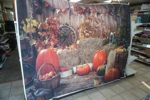 lot 134 image: Studio Photography Backdrop (Fall Theme) 8ft wide by 6 tall
