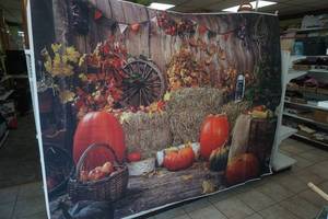 lot 135 image: Studio Photography Backdrop (Fall Theme) 8ft wide by 6 tall