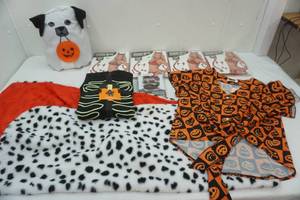 lot 231 image: Halloween Lot Costumes & More