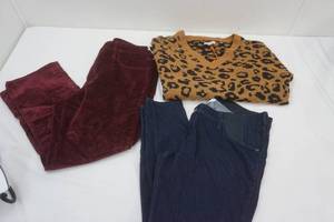 lot 373 image: Womens Clothes Lot Size 14L