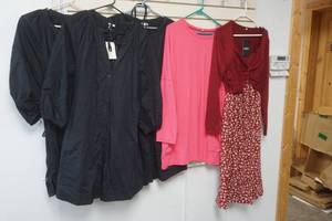 lot 408 image: Womens Dresses & Shirts (5 pieces) NEW