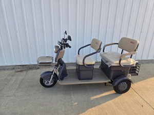 lot 23 image: 2025 SDLANCH Electric Tricycle Mini Golf Cart (IRGC40) Gray