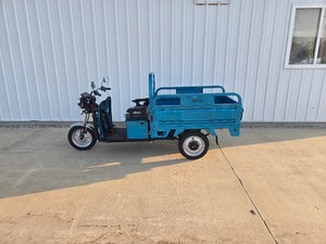 lot 6 image: 2025 SDLANCH 3-Wheel Electric Tricycle Vehicle (IRET13)