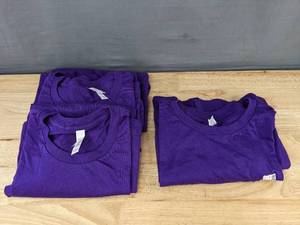 lot 231 image: 4 BellaCanvas Womens Short Sleeve Purple T-Shirts, 3 Small  1 Large - Brand New