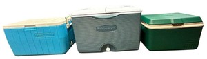 lot 310 image: Medium Cooler Bundle, Qty 3