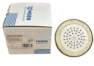 lot 376 image: Moen Shower Head