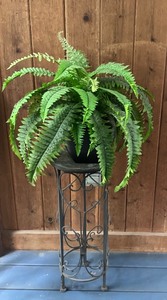 lot 22 image: P - Metal Plant Stand with Decorative Scrollwork and Faux Fern