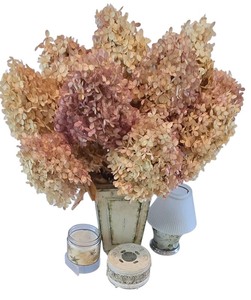 lot 54K image: LR - Decorative Candle Holder, Vanilla Breve Scented Candle, and Glass Oil Lamp with Floral Foliage Display