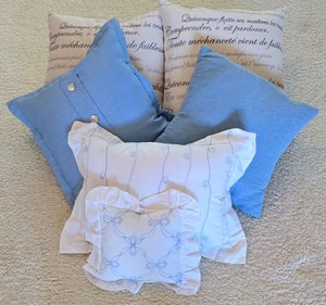 lot 138K image: ML-BR1 - Set of 6 Decorative Throw Pillows and Pillow Shams with Inserts