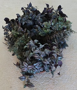 lot 139K image: Ml-BR-1 - Collection of Faux Foliage Arrangements with Baskets and Metal Wall Pockets