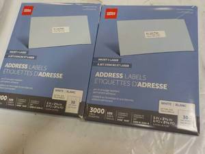 lot 29 image: 6000 Office Depot Address labels 1 ...