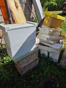 lot 16 image: 10- NUC Honeybee Boxes