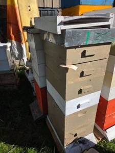 lot 17 image: 2 Sets Bee Hives Boxes