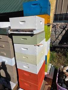 lot 18 image: 2 Sets Bee Hive Boxes