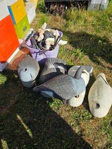 lot 21 image: 20 Goose & Duck Decoys