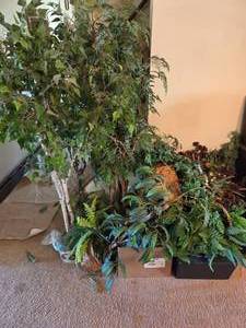 lot 70 image: Fake Plants