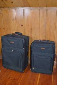 lot 490 image: Ricardo Beverly Hills 2-Piece Softside Luggage Set