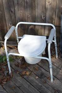 lot 503 image: 3in1 Commode Toilet