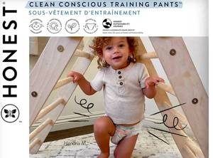 lot 156 image: Honest Company Training Pants Size 2T3T 78 Count $42.99 Retail - Brand New