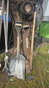 lot 116 image: Lot of Misc Yard Tools including shovels, rake, etc