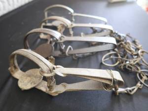 lot 11 image: 4 TRAPS