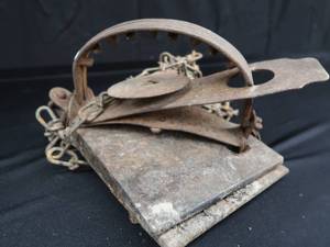 lot 102 image: JUMP TRAP