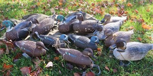 lot 123 image: VINTAGE MALARD DECOYS