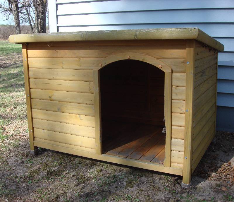 Dog House