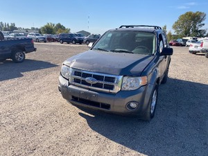 lot 14 image: 2009 Ford Escape 4WD