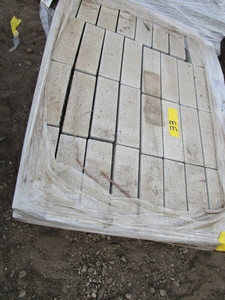 lot 33 image: Paver Blocks