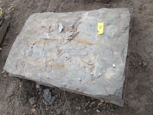 lot 93 image: Landing Stone, Blue Stone