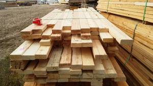 lot 24 image: Cull Lumber 2 x 4 (Approx 75).