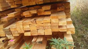 lot 21 image: Cull Lumber 2 x 4 (Approx 75).