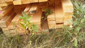 lot 22 image: Cull Lumber 2 x 4 (Approx 75).