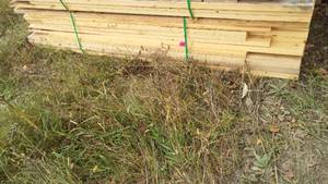 lot 37 image: Cull Lumber 2 x 4 and 2 x 6 (approx. 75)