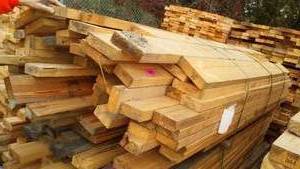 lot 38 image: Cull Lumber 2 x 4 and 2 x 6 (approx. 75)