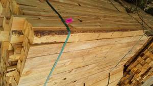 lot 41 image: Cull Lumber 2 x 4 x 6 (approx. 100).